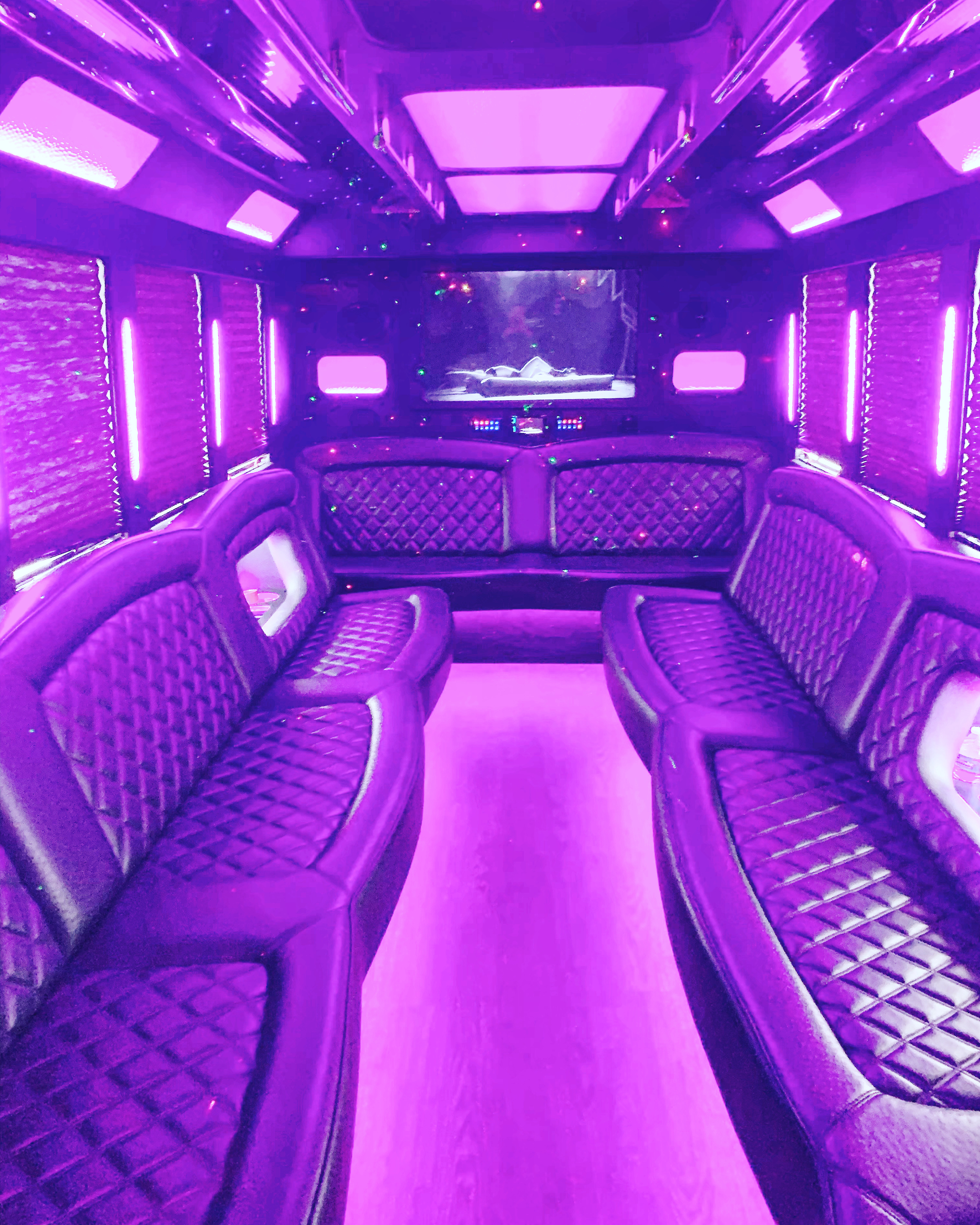 Party Bus Interior — The Executive